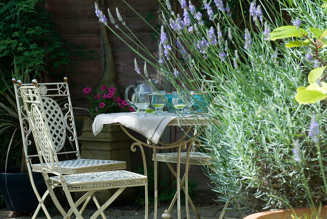 Weiße dekorative Gartenmöbel aus Metall und Wasserkrug und Gläser mit blühendem Lavendel