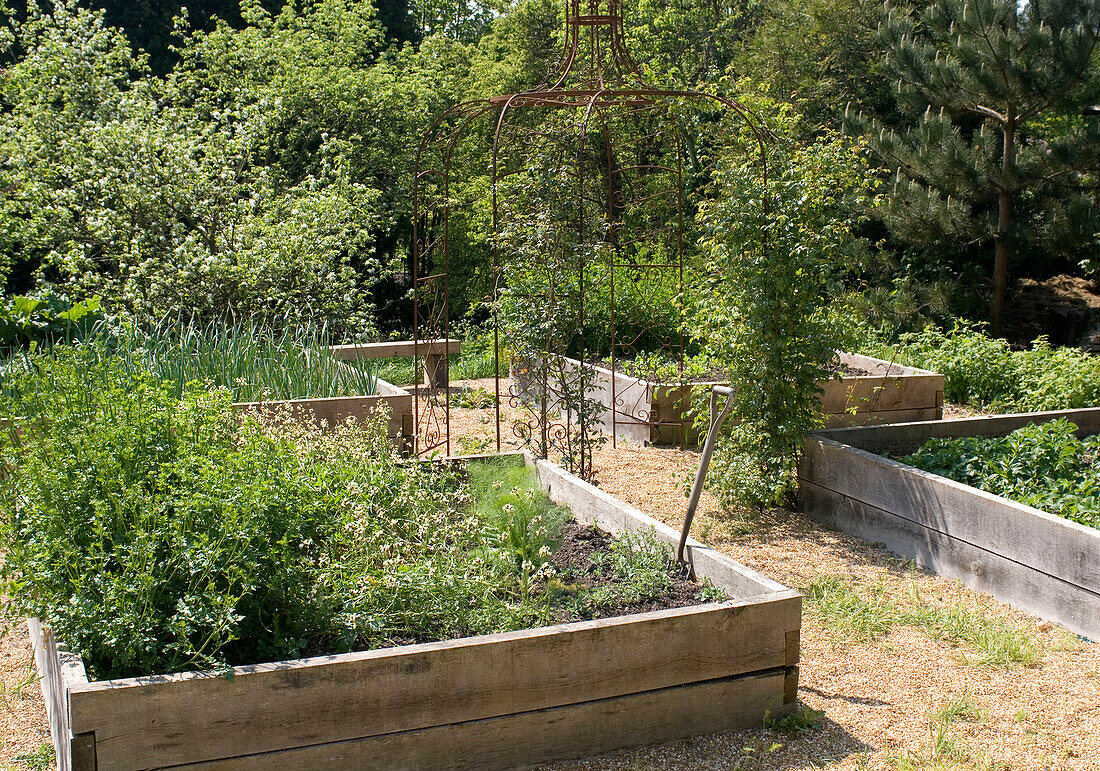 Pflanzen in Holzbehältern mit Holzbank im Garten