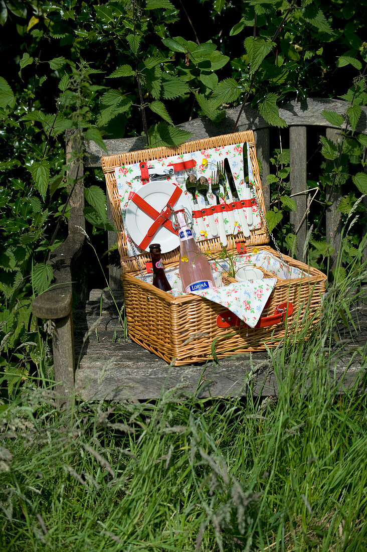 Hamper with picnic stuff