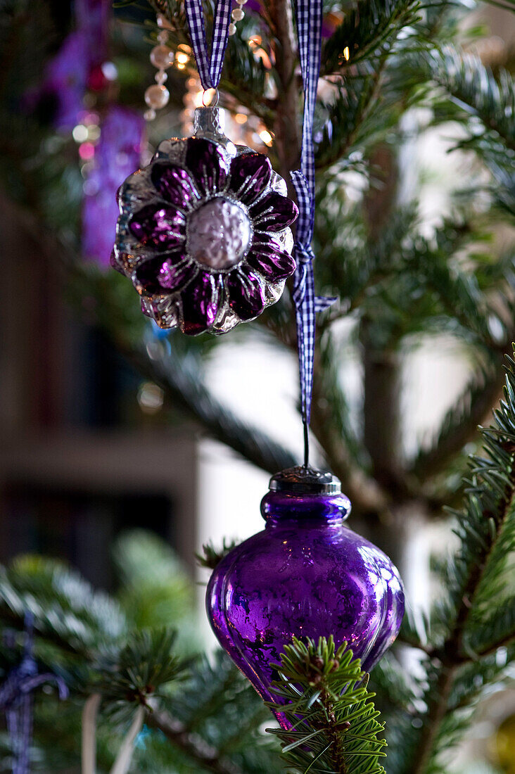 Lila Ornamente hängen am Weihnachtsbaum Hereford