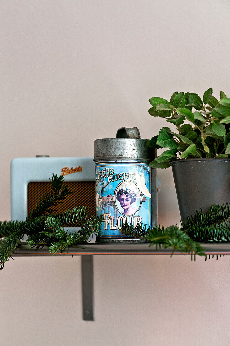 Pot plant and vintage storage tin and radio on shelf in Paris apartment, France