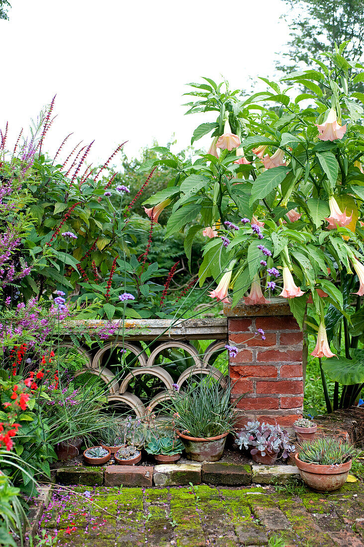 Steinbalustrade und blühende Pflanzen in einem Garten in Suffolk, England UK