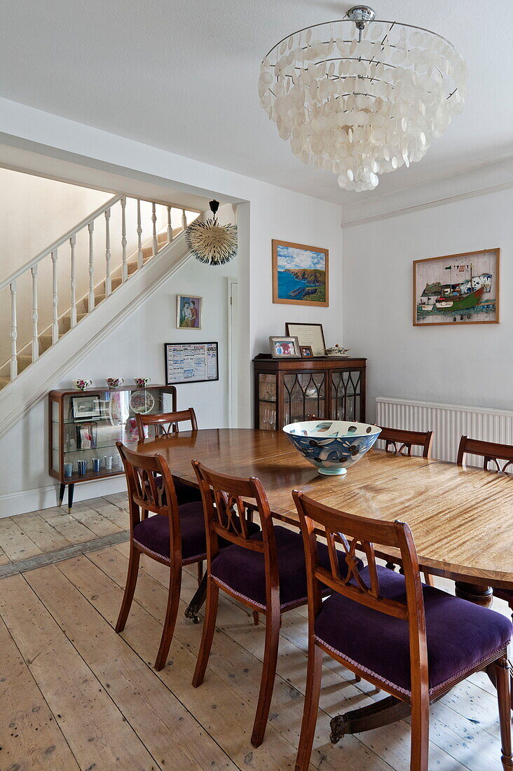 Lila gepolsterte Esszimmerstühle am Tisch in einem Familienhaus, Bovey Tracey, Devon, England, UK