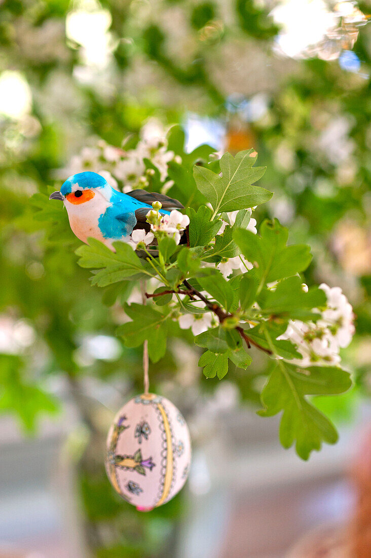 Artificial bird and hand-painted Easter egg hang in spring blossom, Essex home, England, UK