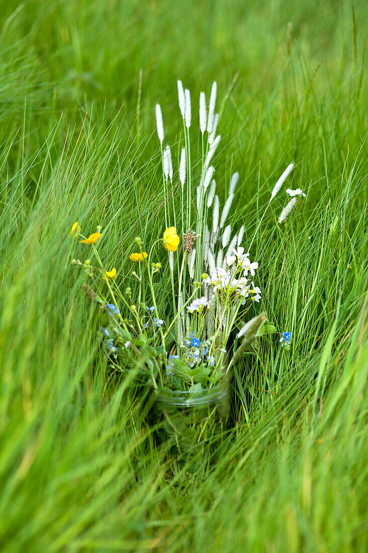 Glas mit Wildblumen im langen Gras, Brecon, Powys, Wales, UK