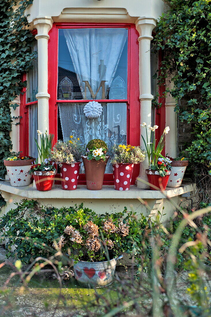 Red paintwork and pot plants on bay window of London home, England, UK