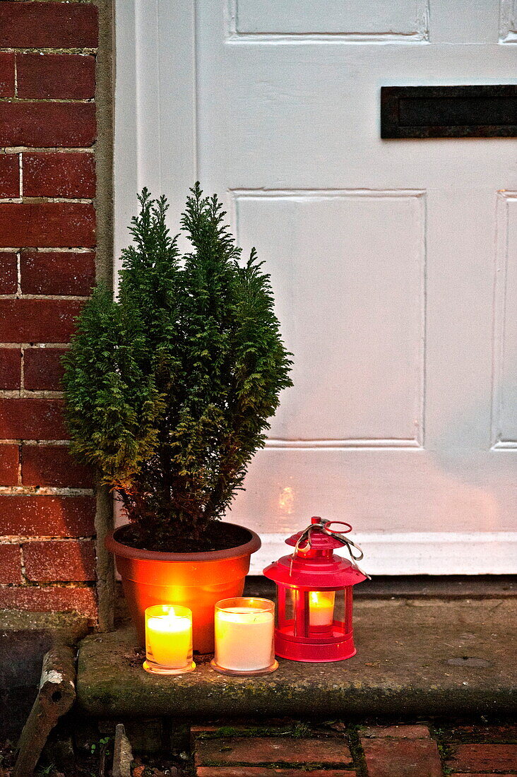 Kerzen und immergrüne Topfpflanze vor der Tür eines Cottages in Shropshire, England, UK