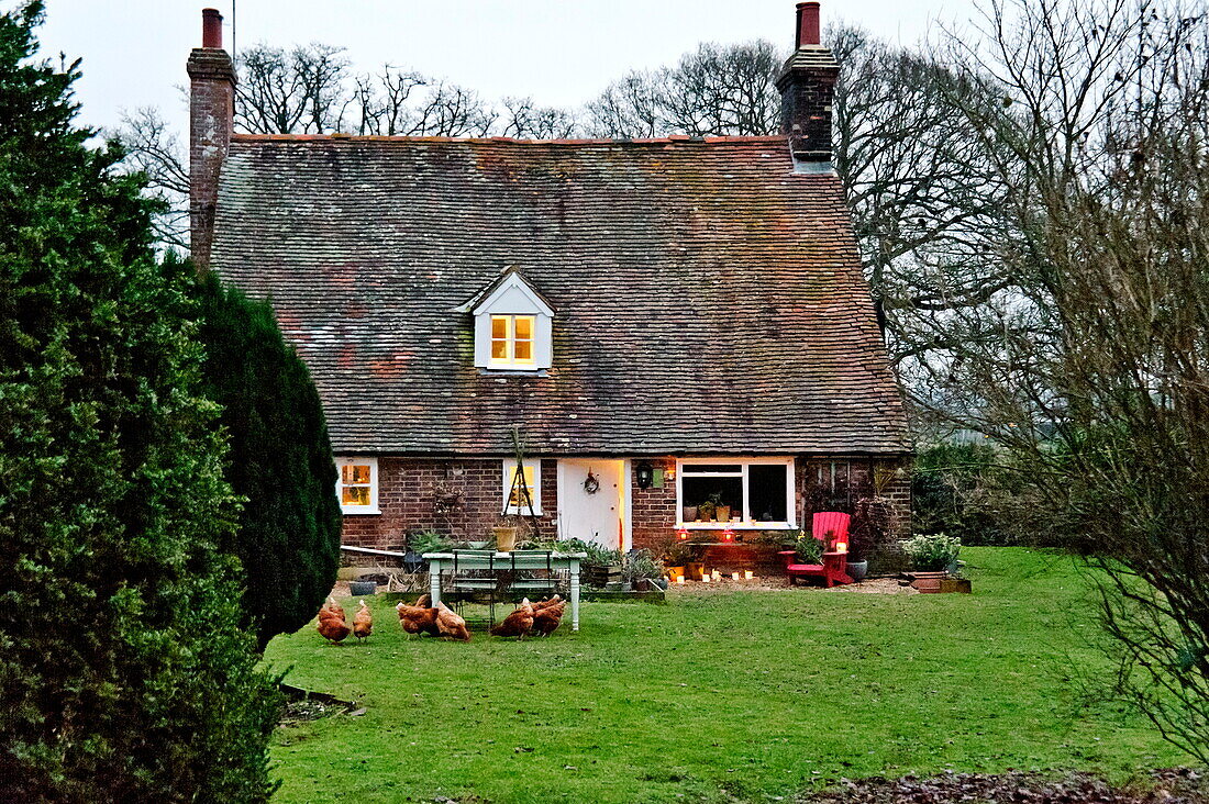 Hühner im Garten eines Cottage in Shropshire, England, Vereinigtes Königreich
