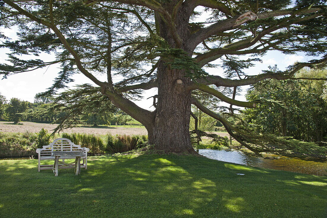 Sitzbank unter einem Baum auf dem Gelände eines Landhauses in Suffolk, England, Vereinigtes Königreich