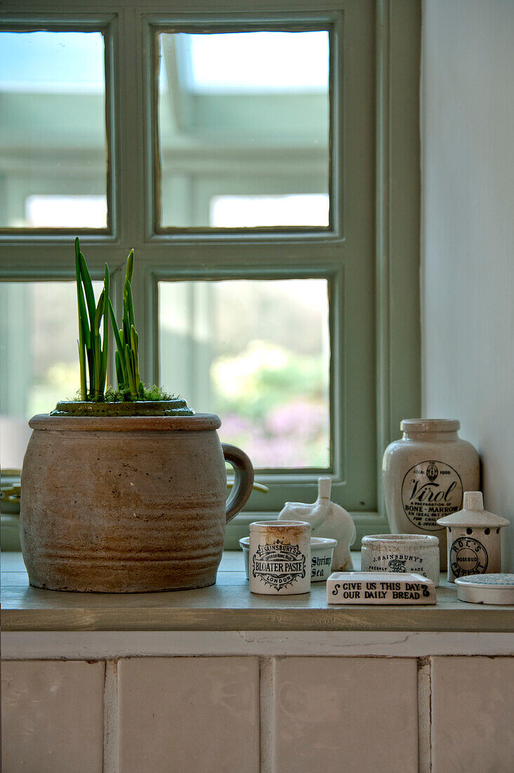 Vintage ceramics with potted bulbs on windowsill in Sherford barn conversion Devon UK