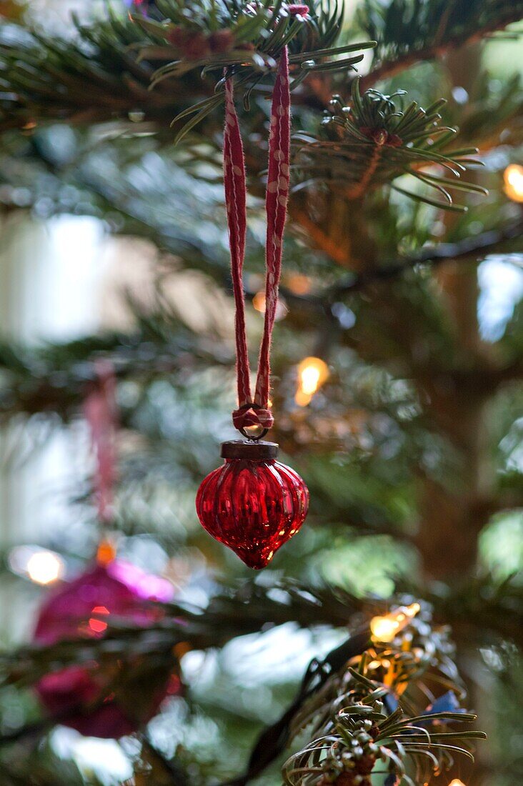 Red metallic bauble hangs on Christmas tree in Penzance family home Cornwall England UK