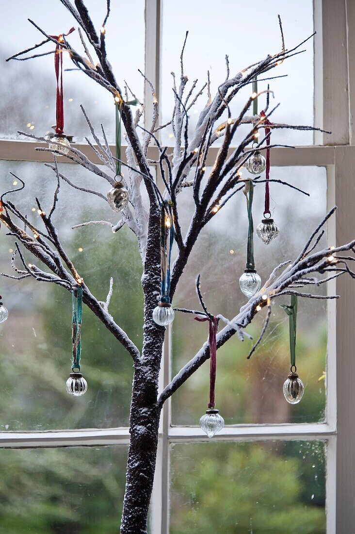 Glass baubles on tree ornament at window of Penzance family home Cornwall England UK
