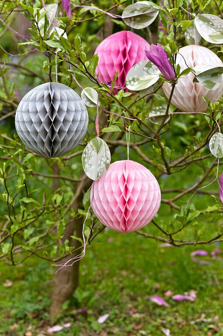 Paper cut Easter decorations hang in Magnolia tree Sussex garden UK