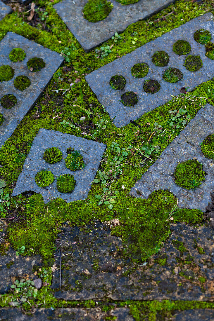 Alte, von Moos überwucherte Ziegelsteine in einem Londoner Garten, England, UK