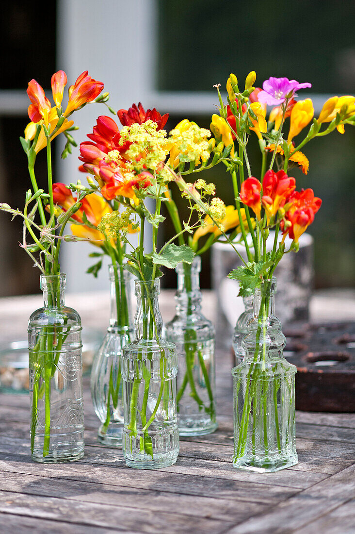 Geschnittene Freesien in Glasflaschen auf einem Tisch im Garten von East Grinstead, Sussex, England, UK
