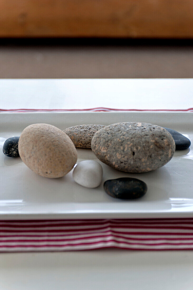 Verschiedene Muscheln auf Keramiktablett in Strandhaus Cornwall England UK