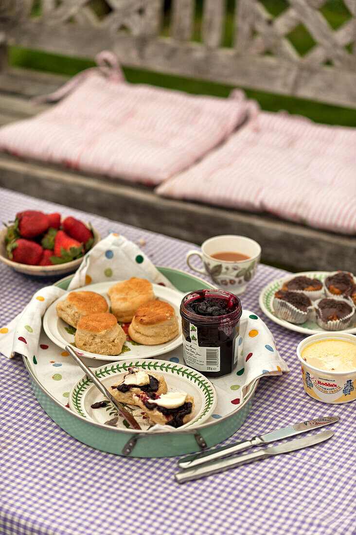 Scones und Marmelade mit Tee und Erdbeeren auf karierter Tischdecke im Garten in Cornwall England UK