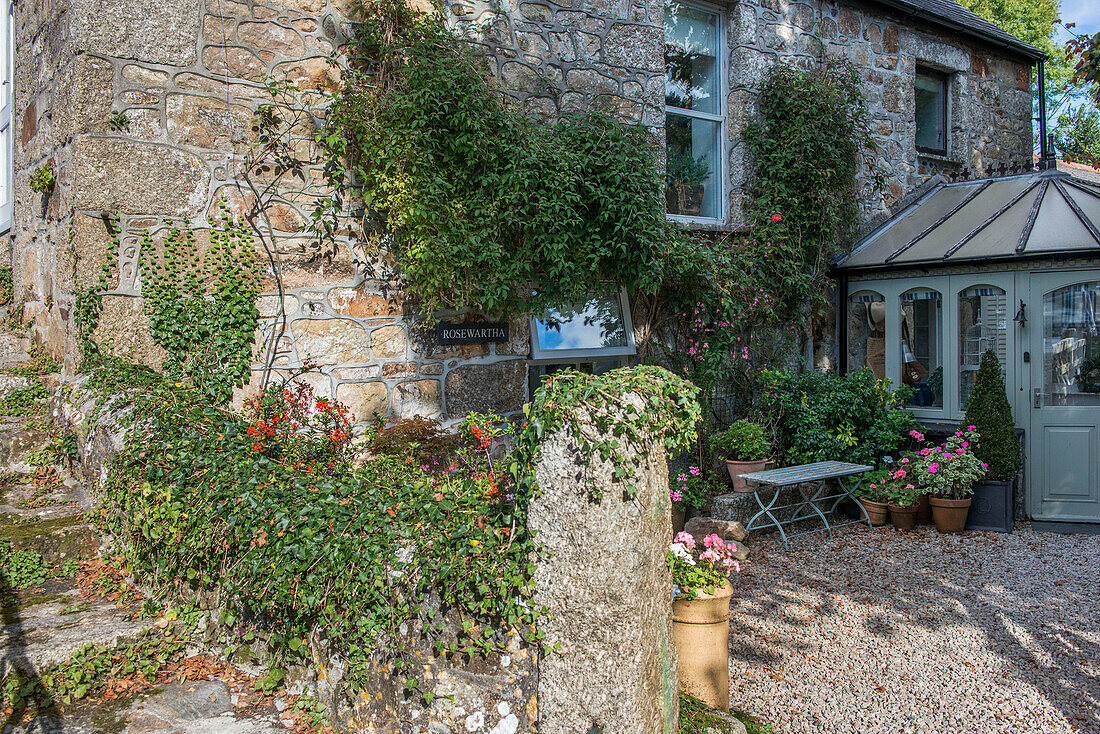 Schlingpflanzen am Torpfosten eines Einfamilienhauses in Penzance Cornwall UK
