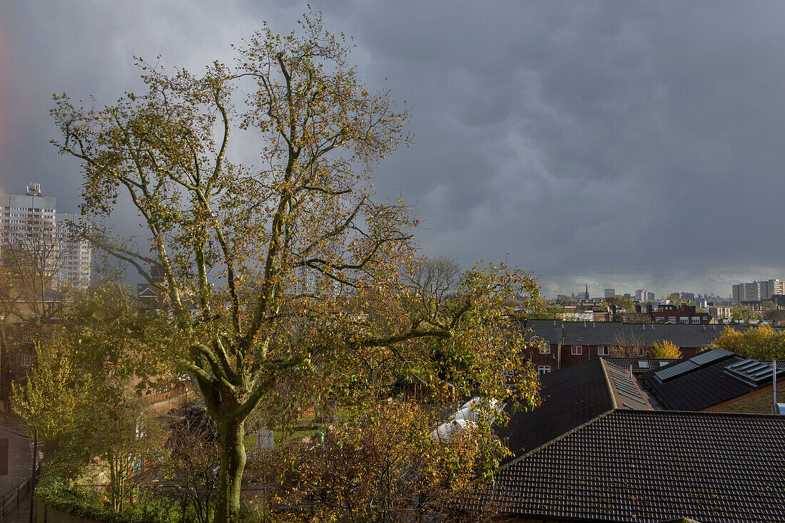 Blick auf Bäume und Dächer aus einer Londoner Wohnung UK