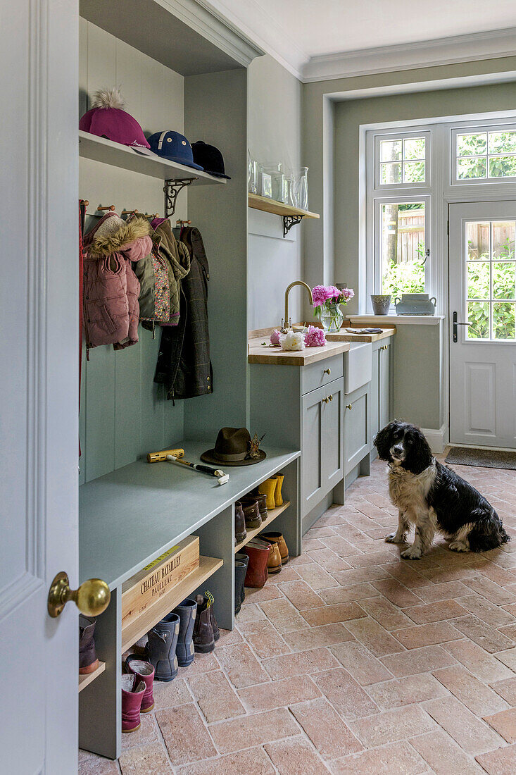 Springer spaniel in utility room of grade II-listed Victorian family home Godalming Surrey UK