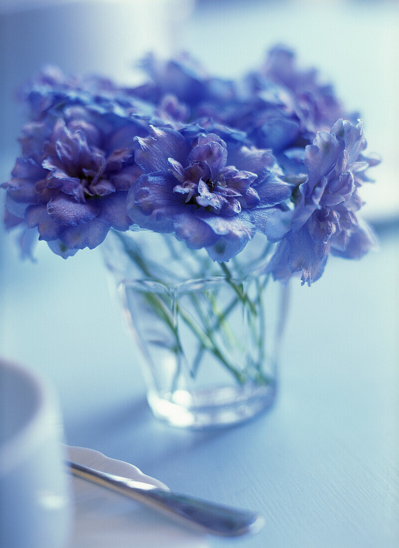 Stilleben mit frischen blauen Blumen in einem Glas auf einem gedeckten Tisch