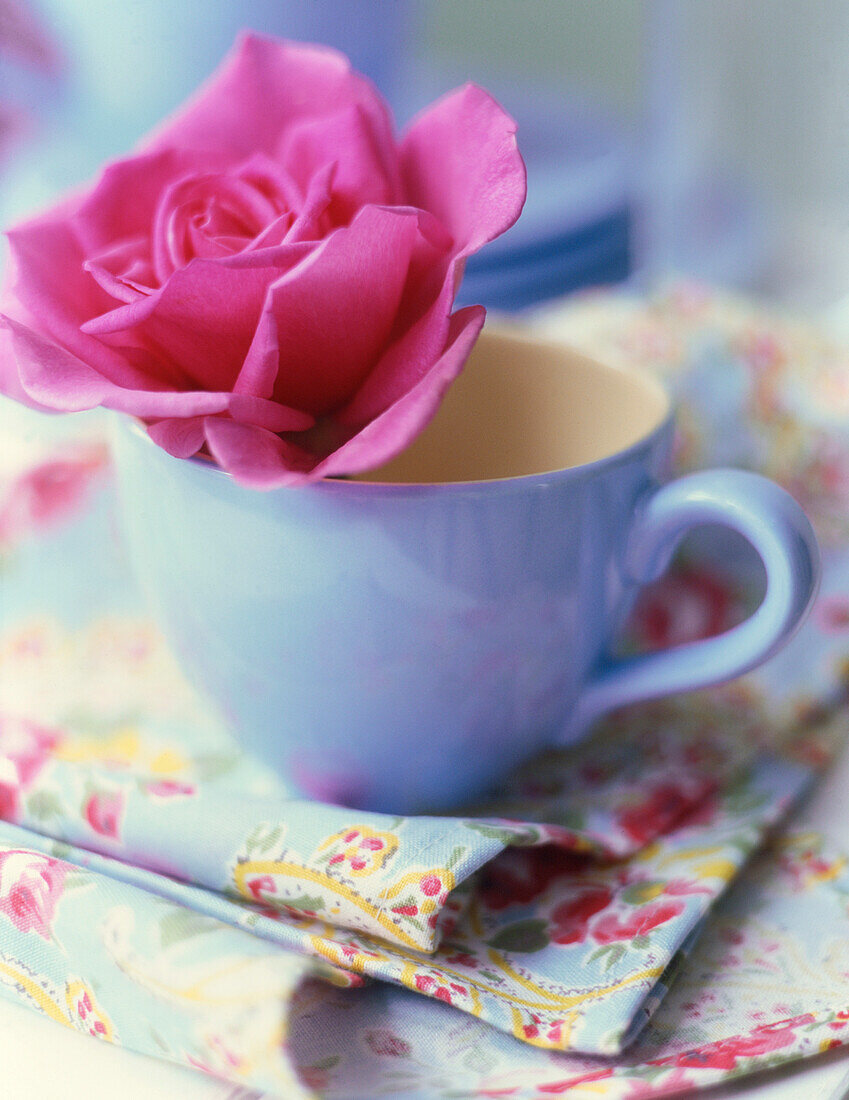 Rose in blauer Tasse mit Blumenserviette