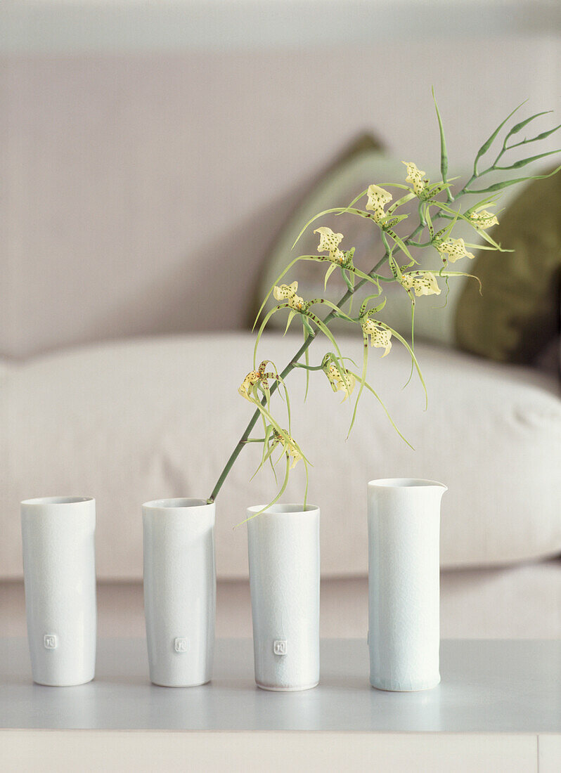 Orchidee und Vasen im Wohnzimmer