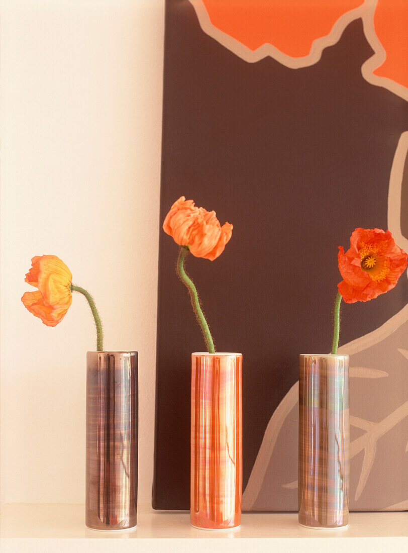 Canvas behind poppies in vases