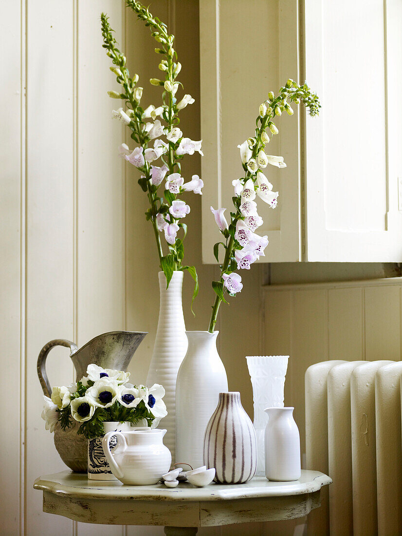 Foxgloves and assorted vases on table at window