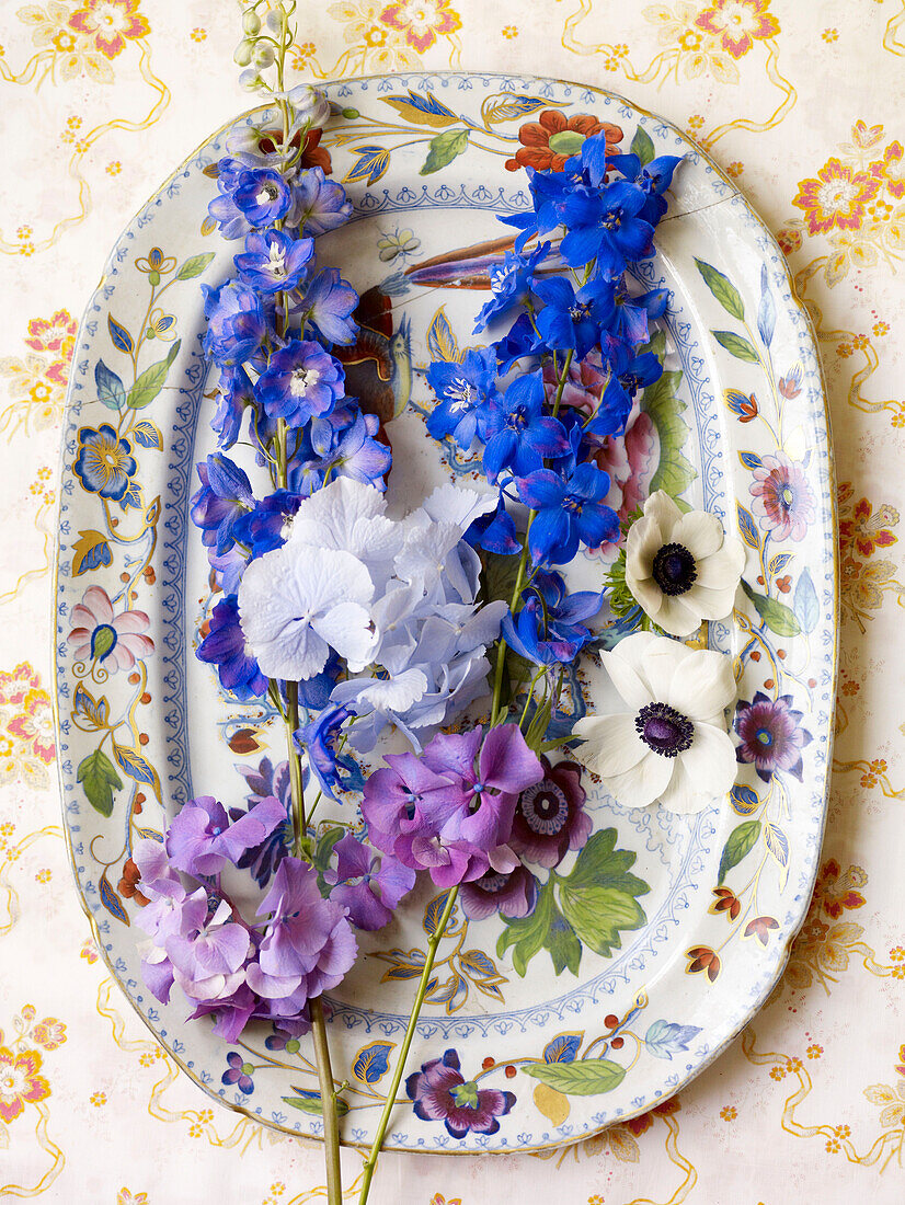Einblütige Blumen auf dekorativem Porzellanteller