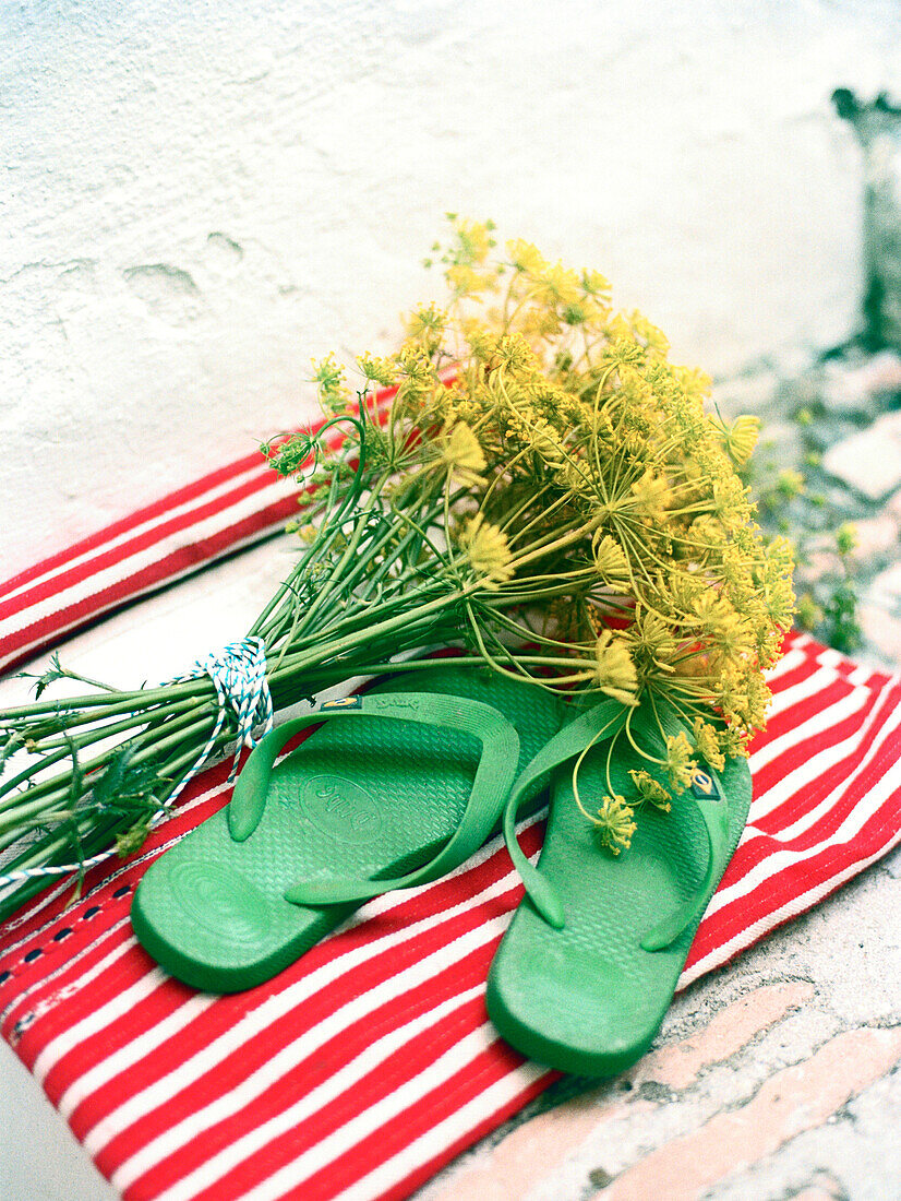 Wild fennel Foeniculum vulgare and flipflops on red and white striped fabric Spain
