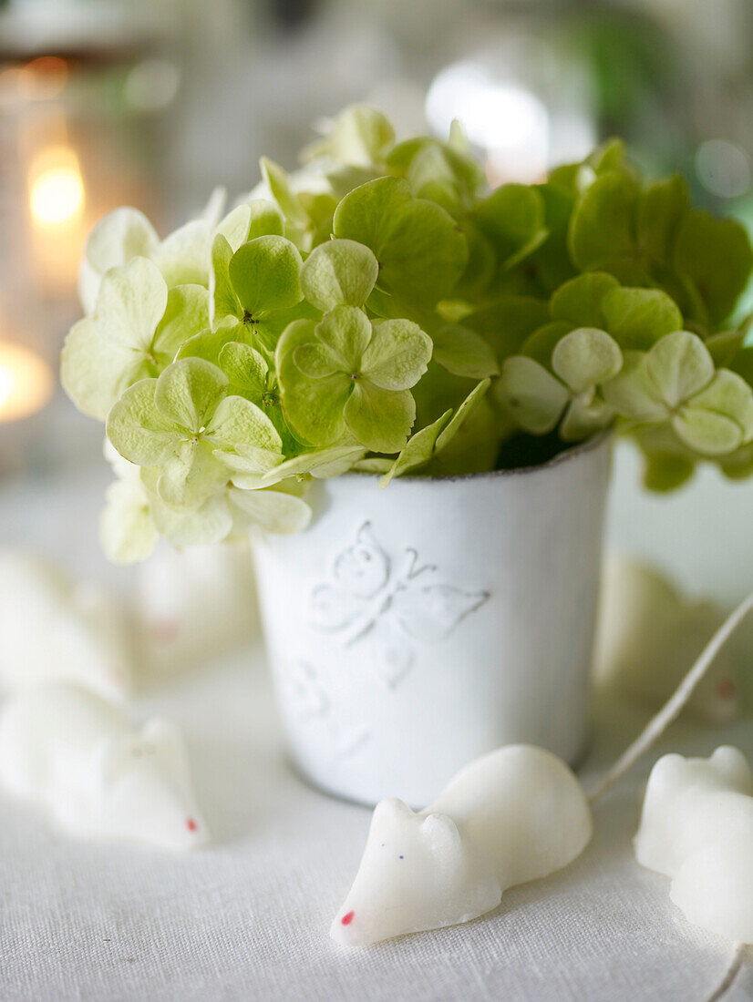 light green hydrangea in pot with sugar mice