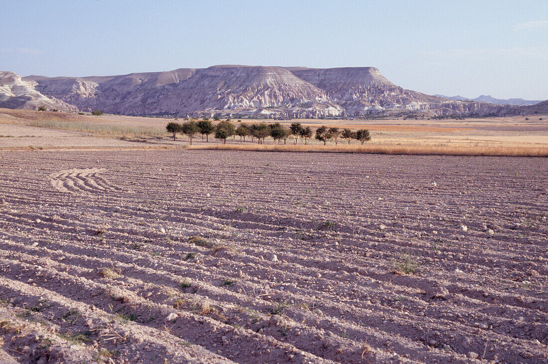 Arable lands of the Zelve Valley near Goreme in Cappadocia