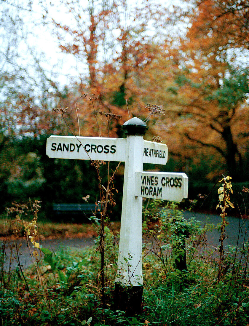 Road sign to Sandy Cross on verge in Scottish woodland