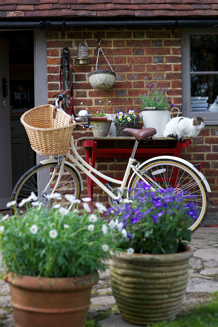 Fahrrad mit Topfpflanzen an der Außenfassade eines Bauernhauses in High Halden, Kent, England, Vereinigtes Königreich