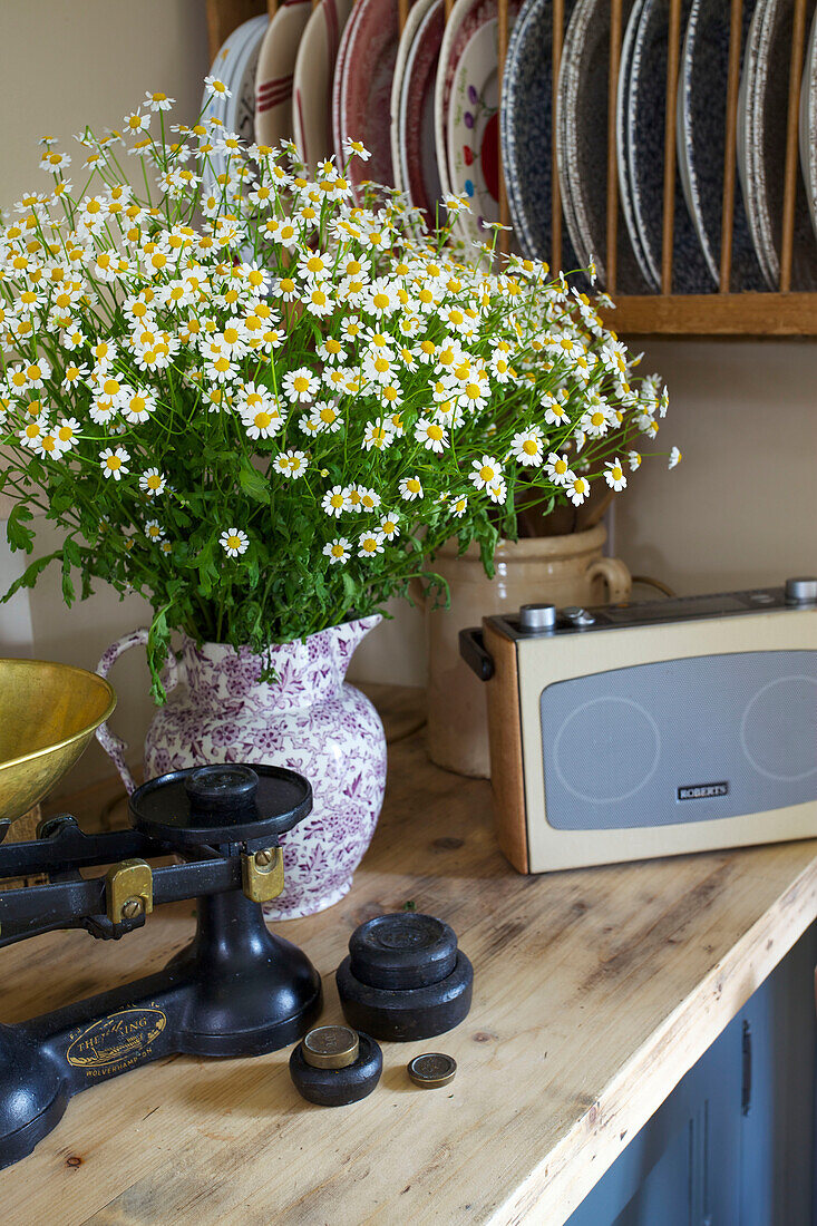 Geschnittene Gänseblümchen und Plattenständer mit Radio in der Küche eines Bauernhauses in Kent, England, UK