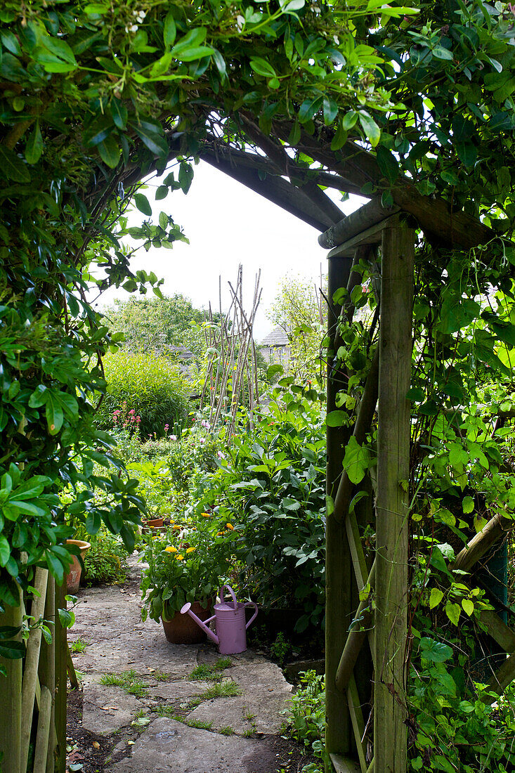 Rosa Gießkanne durch Pergola im Garten von Worth Matravers Dorset England UK