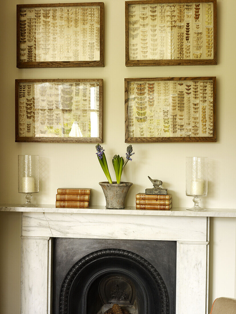 Framed butterfly collection above marble fireplace in East Sussex country house England UK