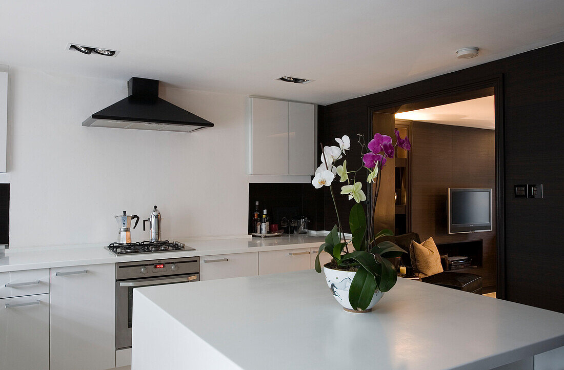 Orchidee auf der Kücheninsel einer modernen Küche in einem Haus in London UK
