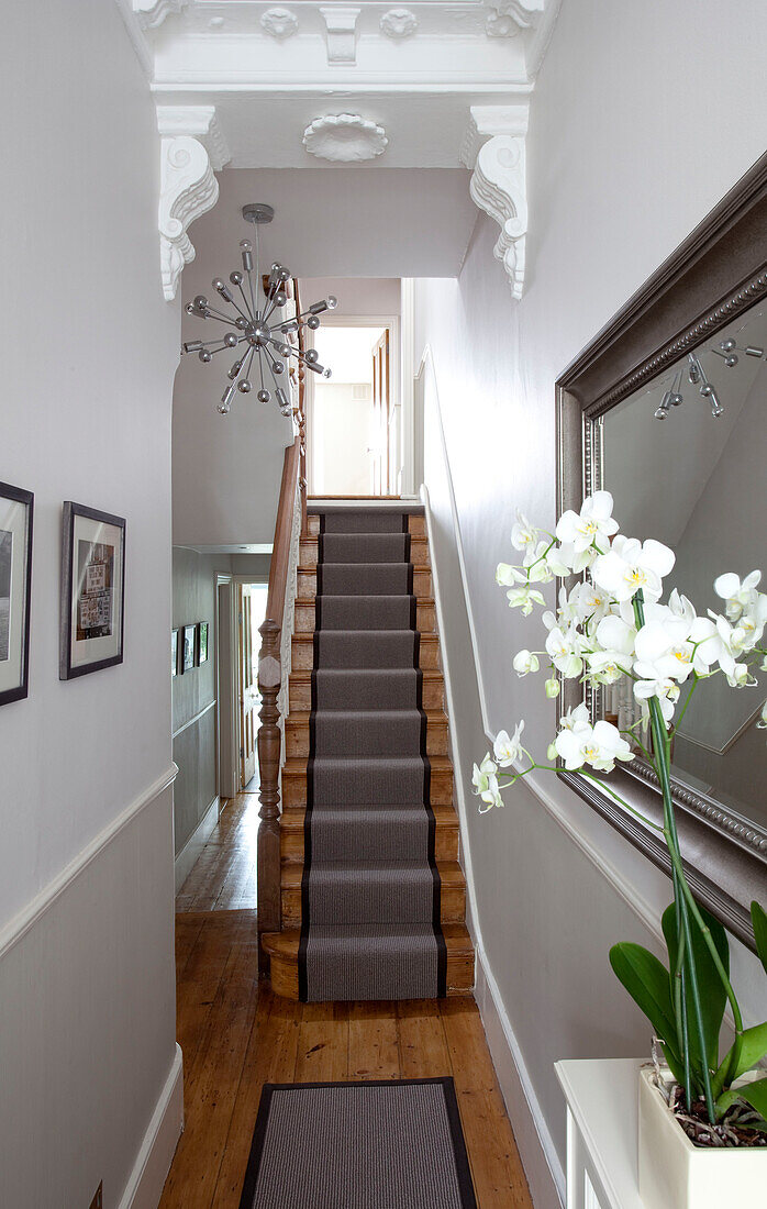 Mit Teppich ausgelegte Holztreppe in weißer Eingangshalle eines modernen Hauses in London, England, UK