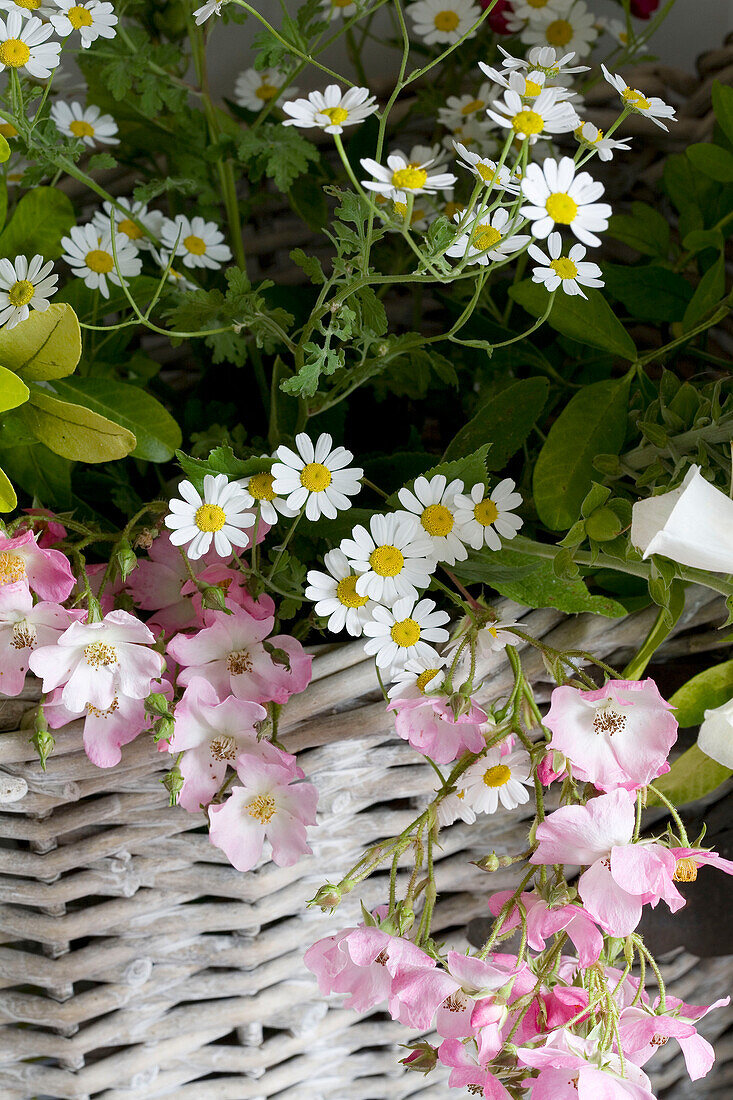 Rosa und weiße Blumen in einem Korb UK