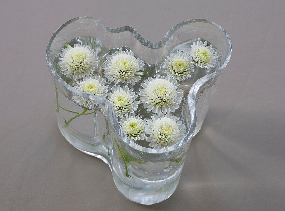 Cut flowers in clear glass vase, contemporary London home, England, UK