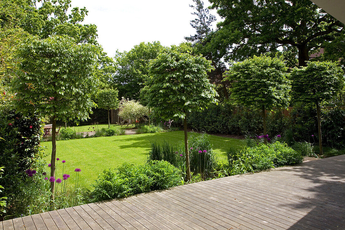Terrassenbereich und Rasenflächen im Garten eines modernen Hauses in London, England, UK