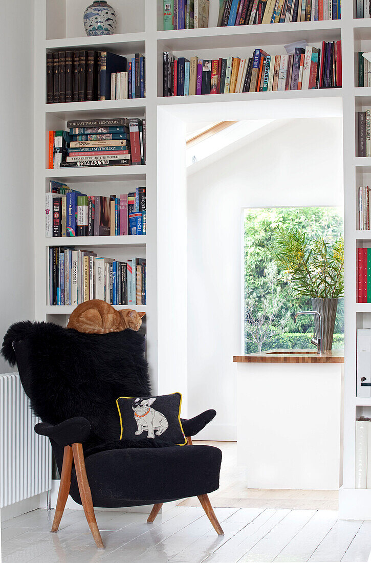 Tabby-Katze sitzt auf schwarzem Sessel in Arbeitszimmer mit Bücherregalen in modernem Londoner Haus, UK