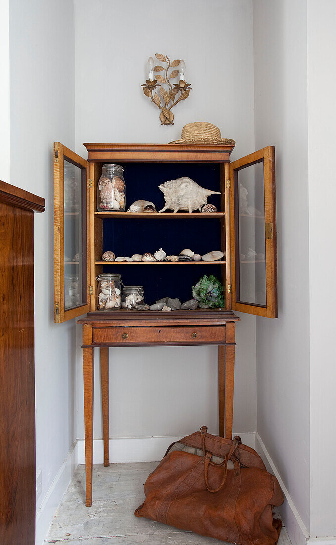 Collection of seashells in display case with brown leather bag in West Sussex home England UK
