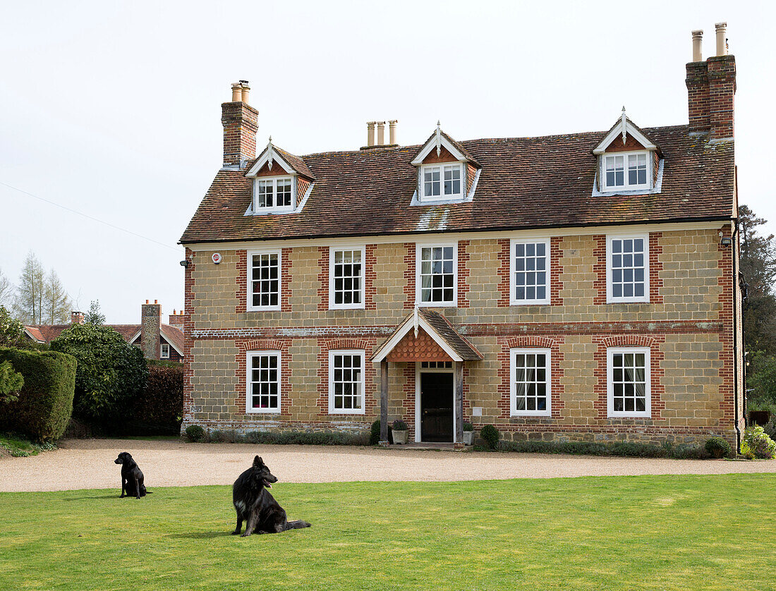 Two dogs sit on lawned exterior of stone and brick facade London detached home England UK