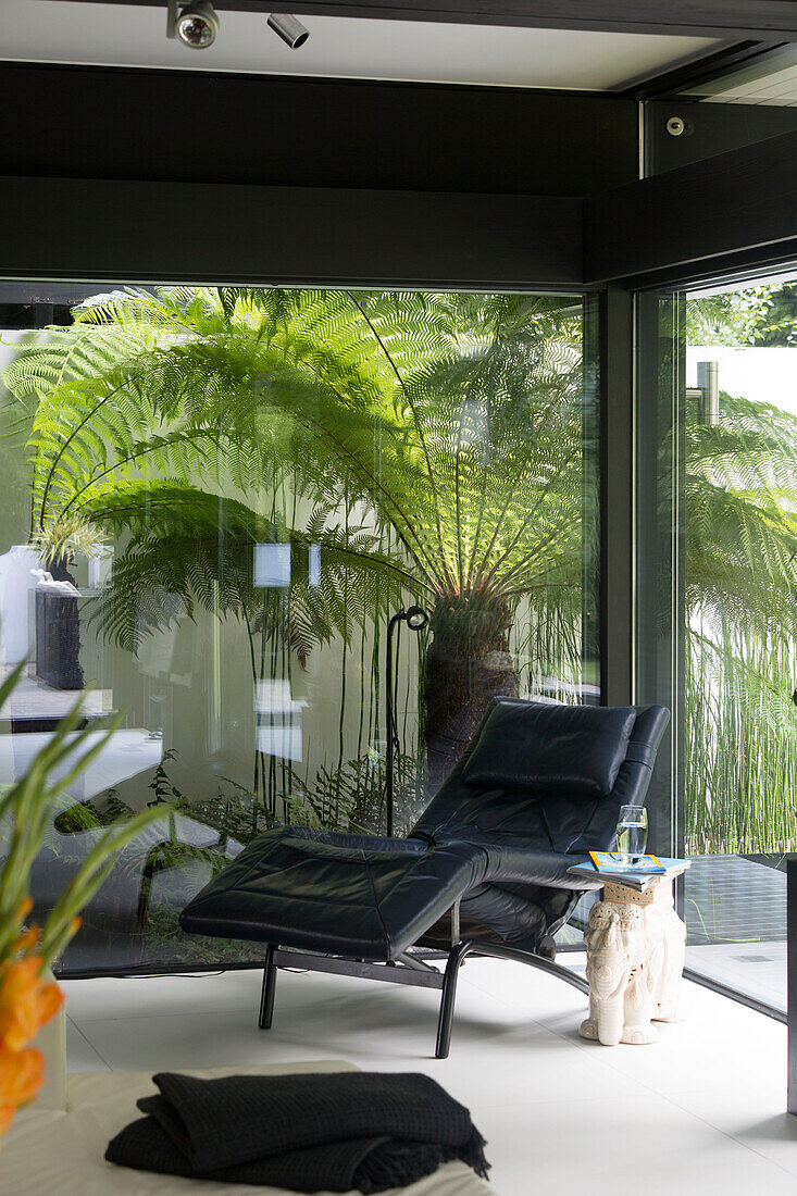 Schwarzer Ledersessel mit Blick durch das Fenster auf eine Palme in einem modernen Haus im Südwesten Londons England UK
