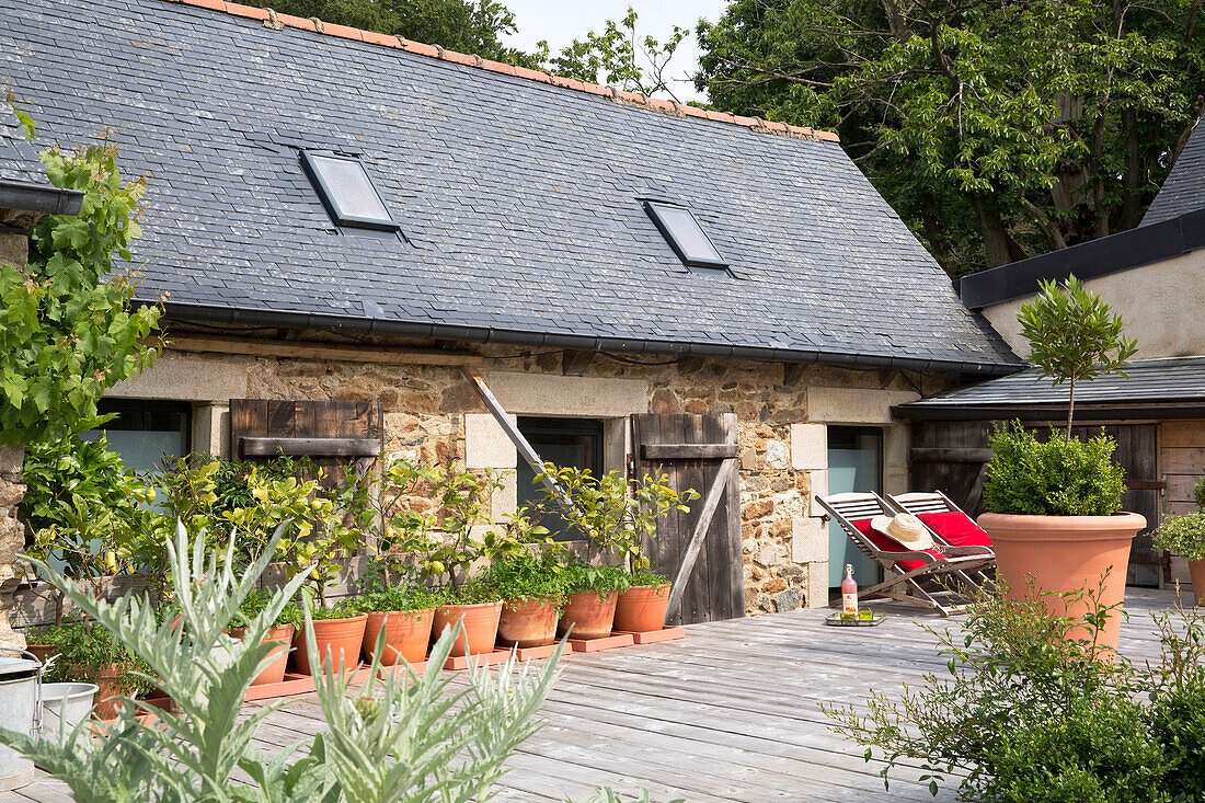 Terrace decked with potted plants at exterior of stone cottage in Brittany, France