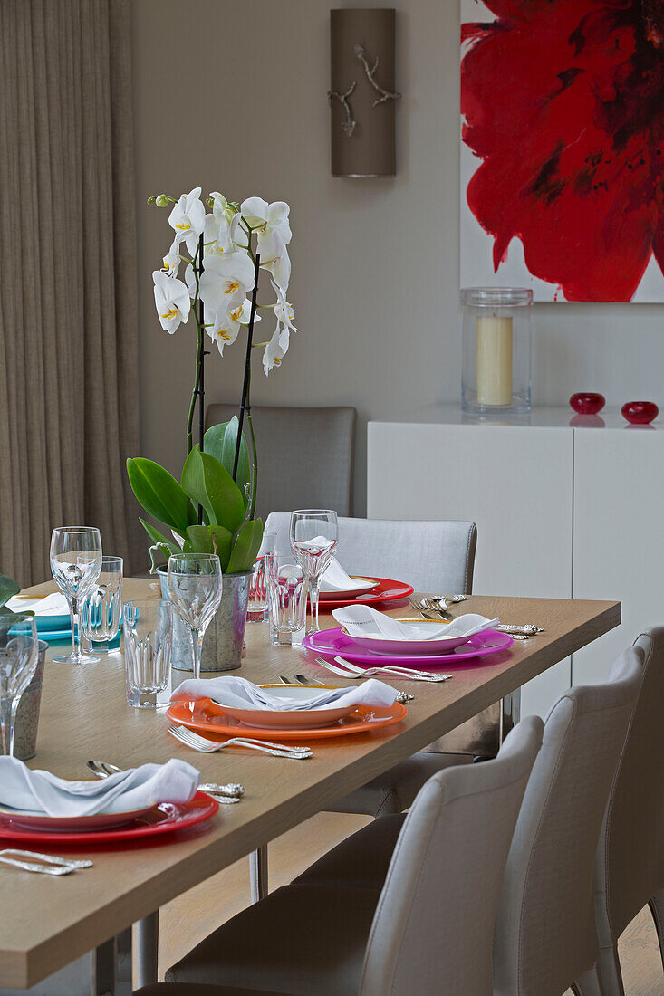 Dining chairs at table with bright plates and orchid in UK home