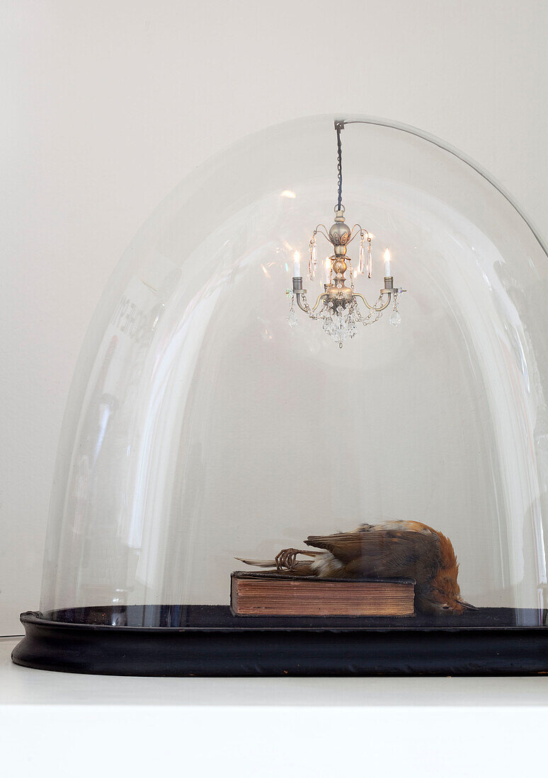 Miniature chandelier above dead bird on book under belljar in London townhouse, England, UK